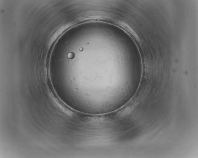 X0000075860890200609151223