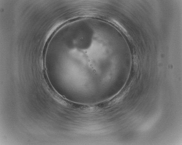 X0000075860891200609151223