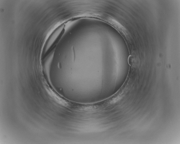 X0000075860892200609151223