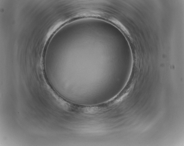 X0000075860893200609151223