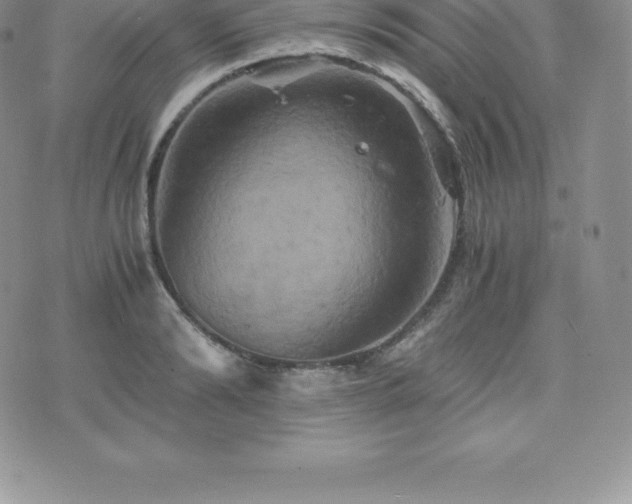 X0000075860894200609151223