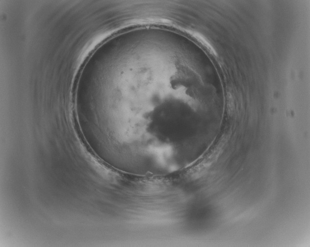 X0000075860895200609151223