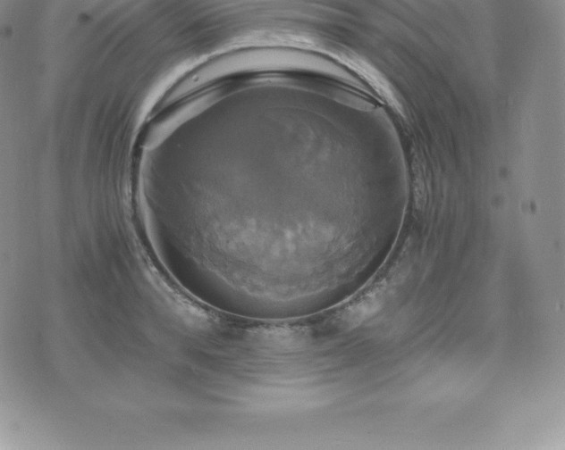 X0000075860896200609151223