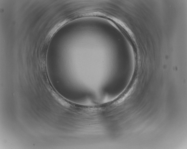 X0000075860897200609151223