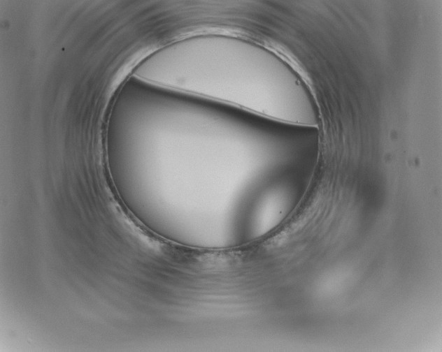 X0000075860898200609151223