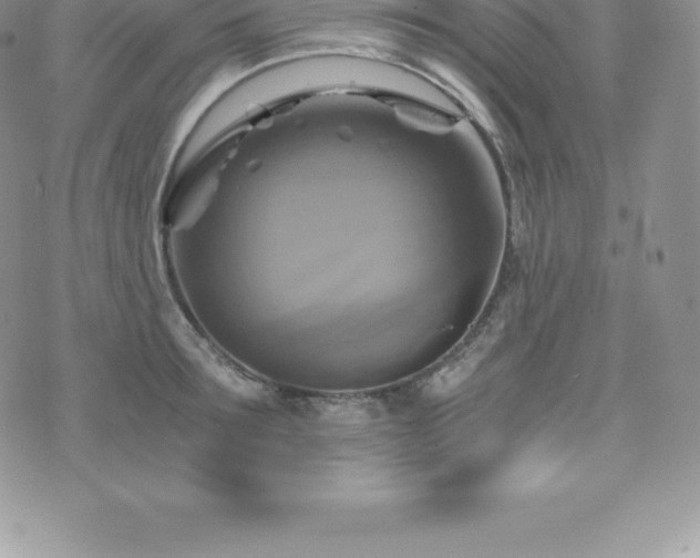 X0000075860899200609151223