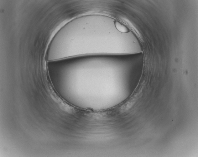 X0000075860900200609151223