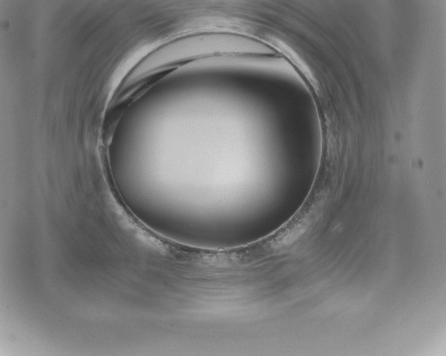 X0000075860901200609151223