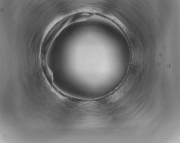 X0000075860902200609151223