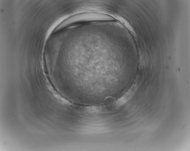 X0000075860904200609151223