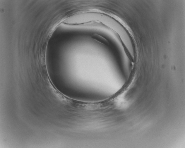 X0000075860905200609151223