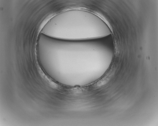 X0000075860906200609151223