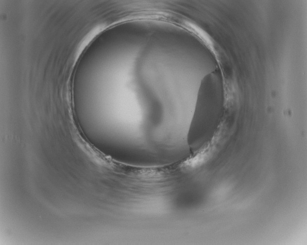 X0000075860907200609151223