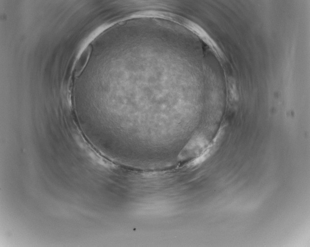 X0000075860908200609151223