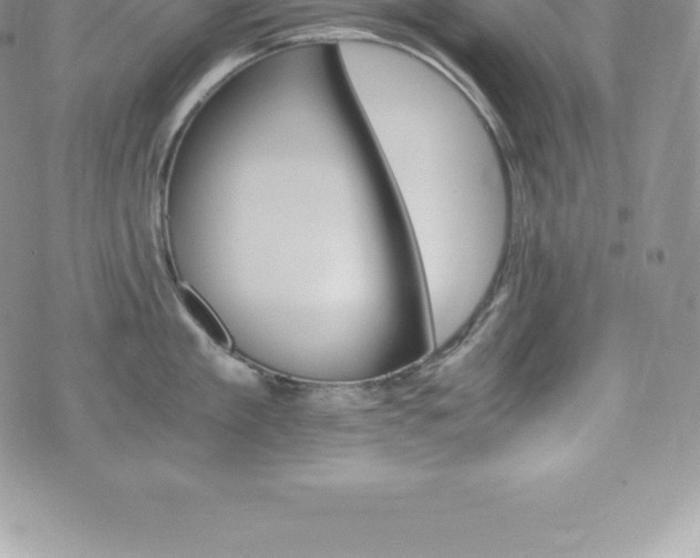 X0000075860909200609151223