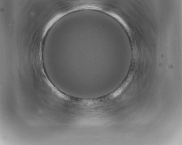 X0000075860910200609151223