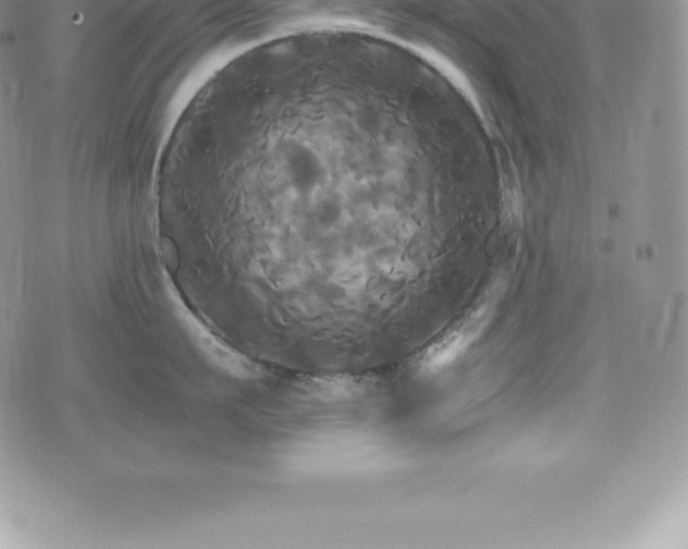 X0000075860911200609151223