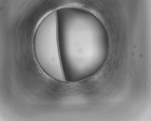 X0000075860912200609151223