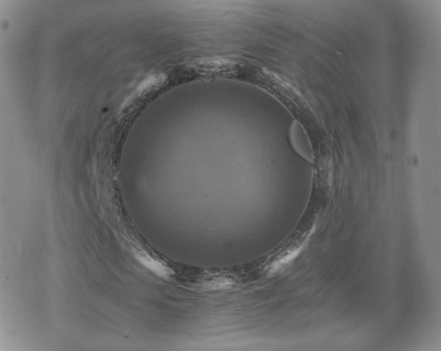 X0000075860913200609151222