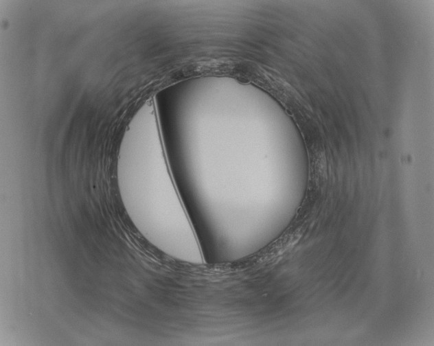 X0000075860914200609151222