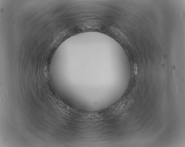 X0000075860915200609151222