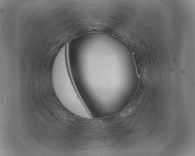 X0000075860916200609151222