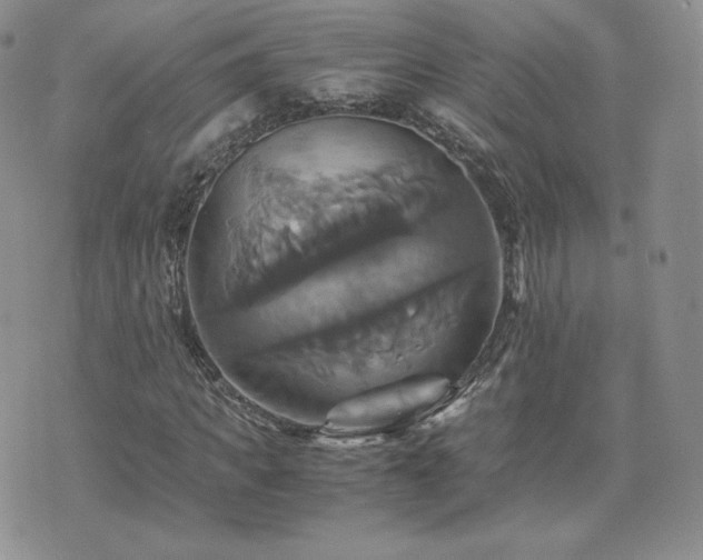 X0000075860917200609151222