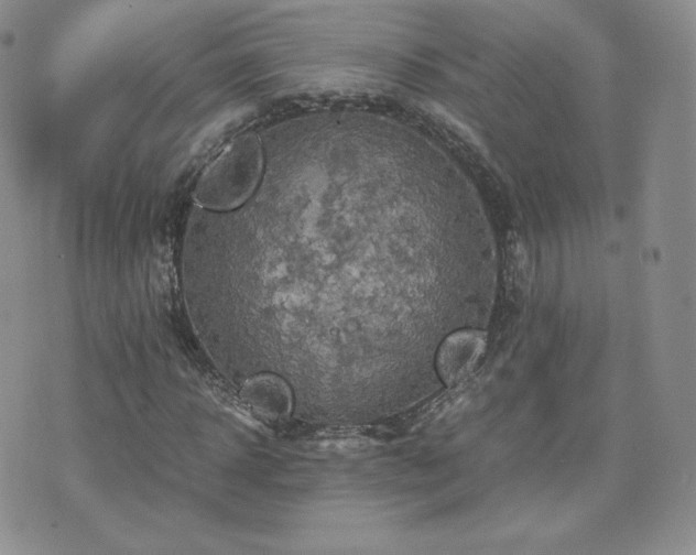 X0000075860918200609151222