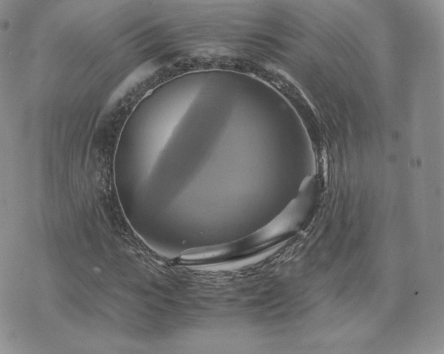 X0000075860919200609151222