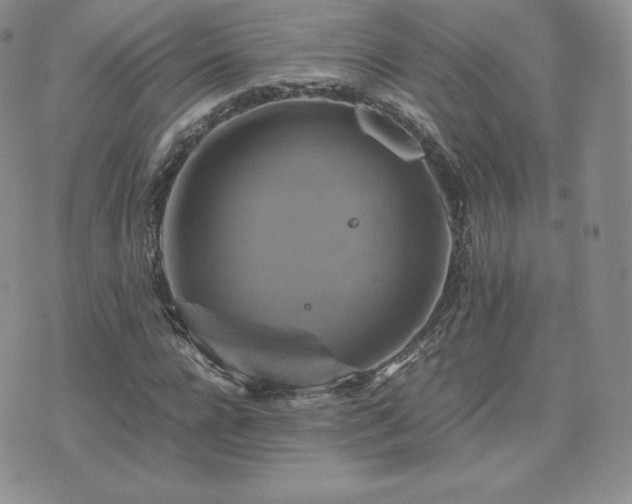 X0000075860920200609151222