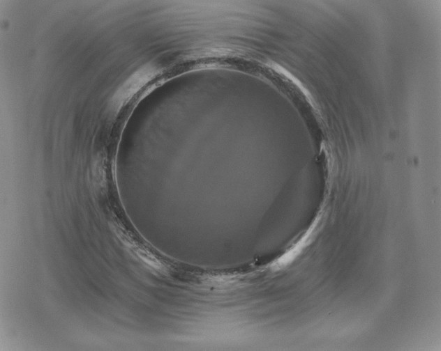 X0000075860921200609151222