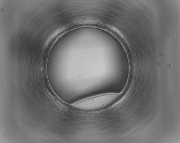 X0000075860922200609151222