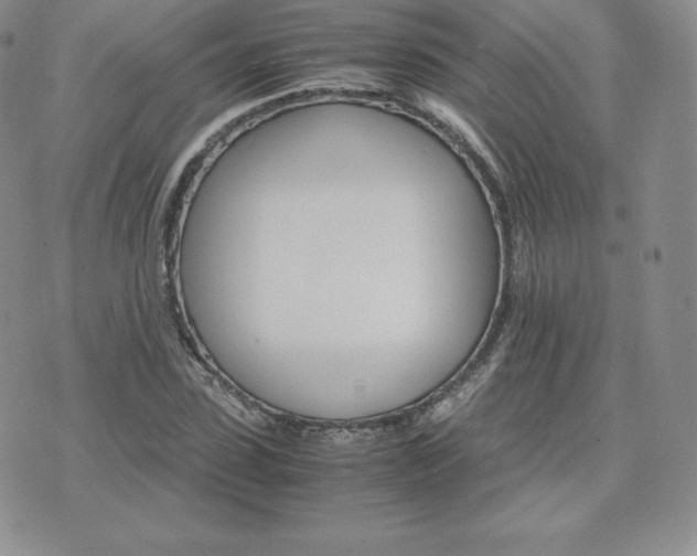 X0000075860923200609151222