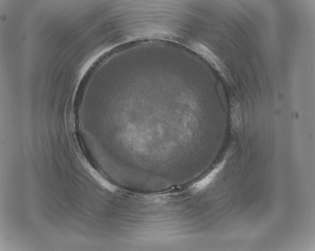 X0000075860924200609151222