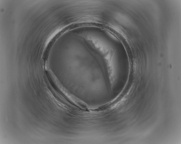 X0000075860925200609151222