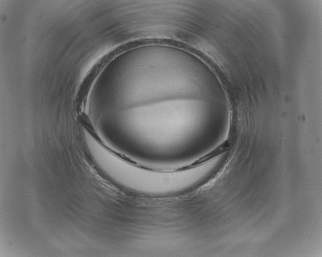 X0000075860926200609151222