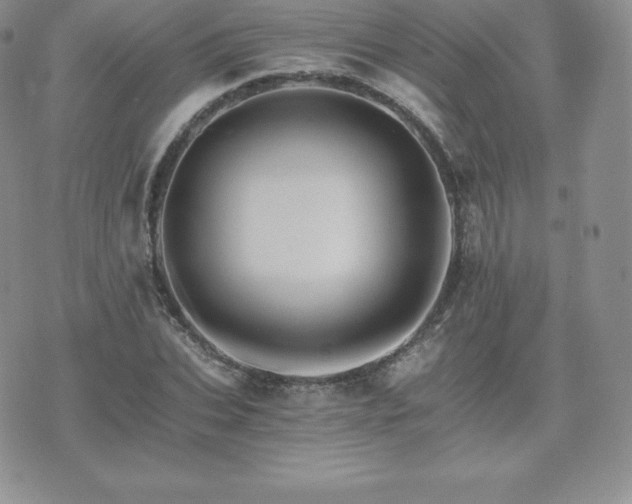 X0000075860927200609151222