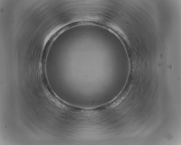 X0000075860928200609151222