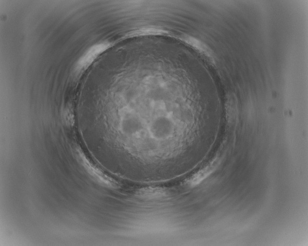 X0000075860929200609151222