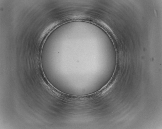 X0000075860930200609151222