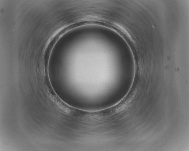 X0000075860931200609151222