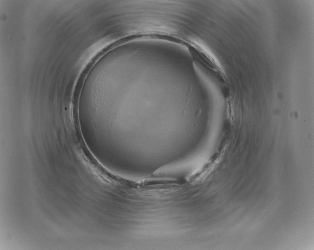 X0000075860932200609151222