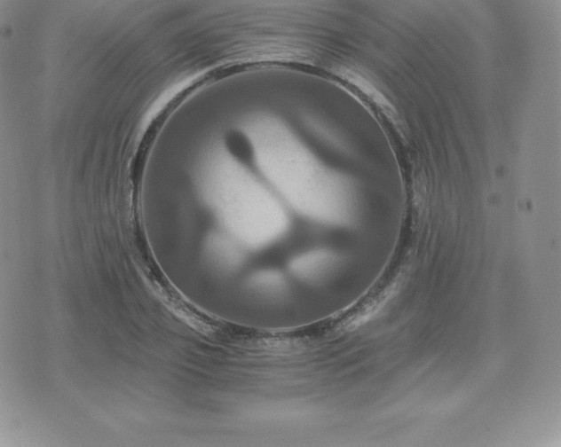 X0000075860933200609151222