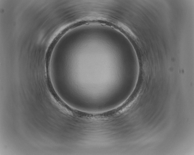 X0000075860934200609151222