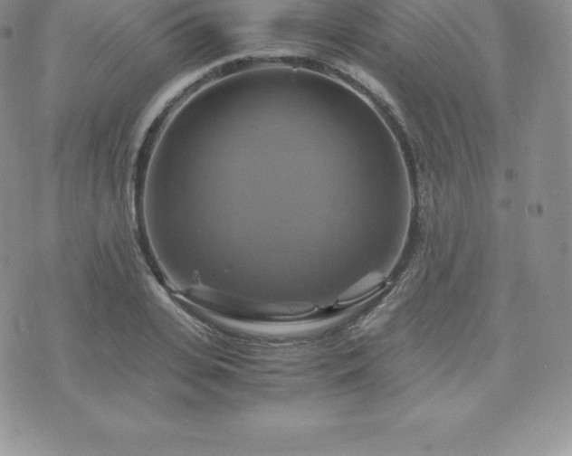 X0000075860935200609151222