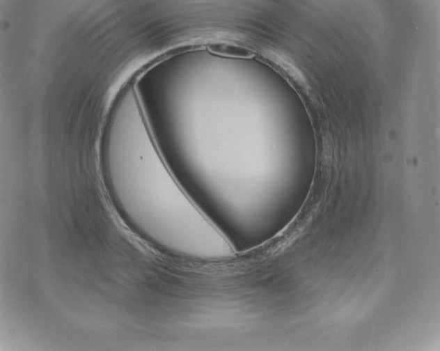 X0000075860936200609151222