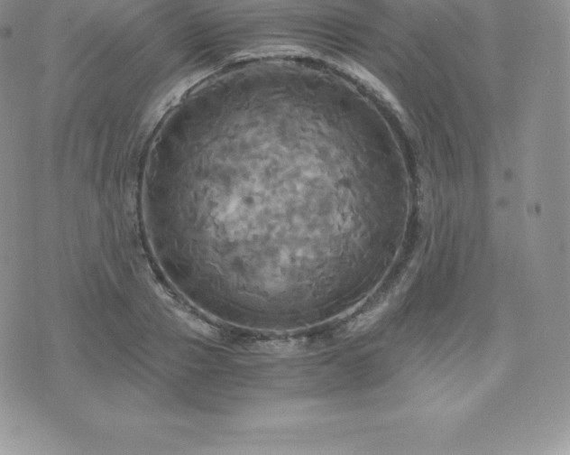 X0000075860937200609151222