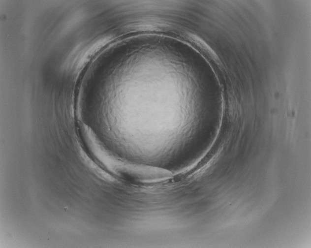 X0000075860938200609151222