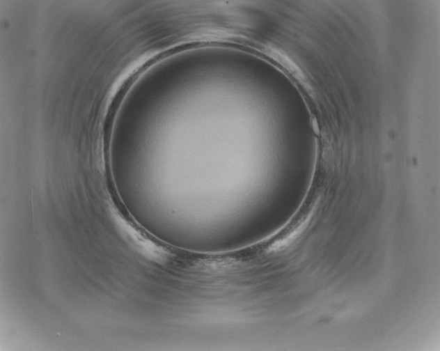 X0000075860939200609151222