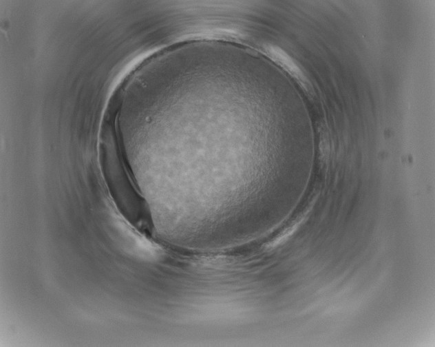 X0000075860940200609151222